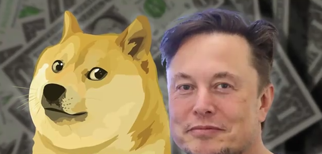 Kuantitasi AI Anjing